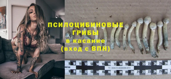 МДПВ Арсеньев