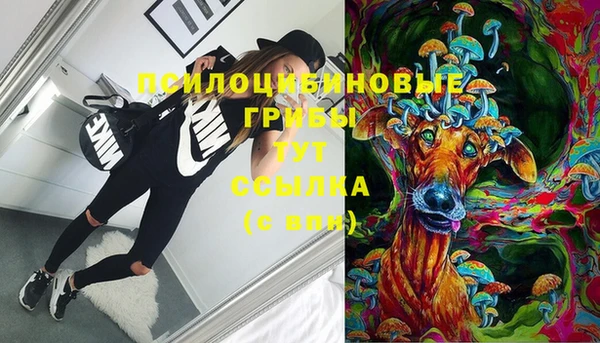 МДПВ Арсеньев