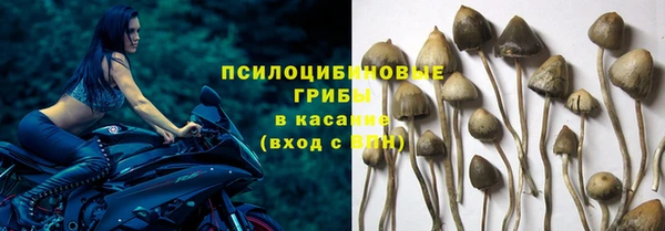 МДПВ Арсеньев