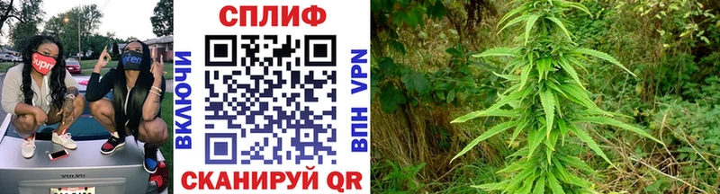 блэк спрут сайт  Бутурлиновка  Шишки марихуана OG Kush 